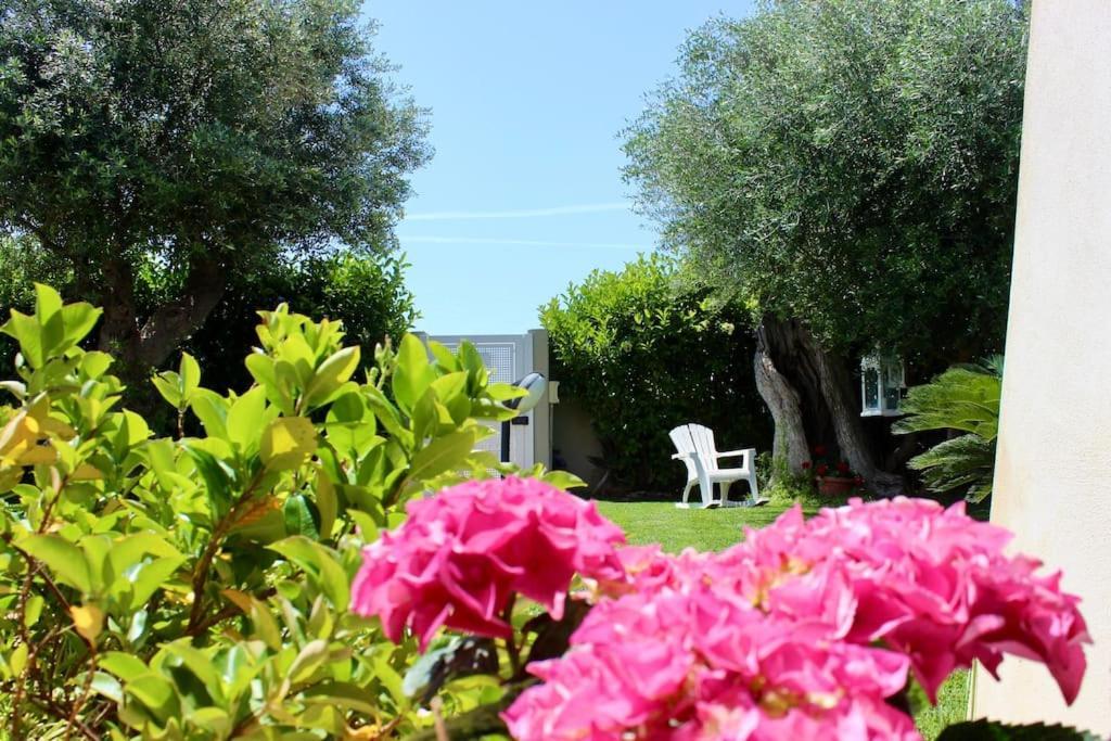 Villa Marea - Relax & Pool Polignano a Mare Eksteriør bilde